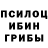 Галлюциногенные грибы Psilocybine cubensis Redhart