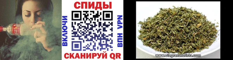 Бутират буратино Арсеньев