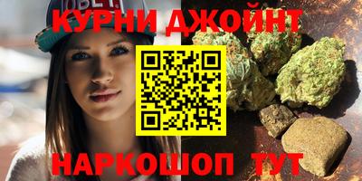 гидра Камышлов