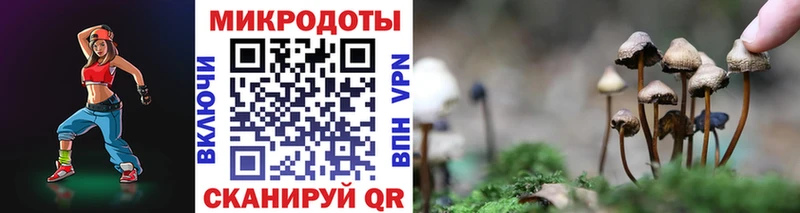 наркота  Арсеньев  Галлюциногенные грибы ЛСД 